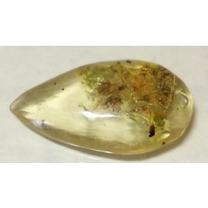 Pieza de Ámbar con Fósiles - 24mm x 12mm