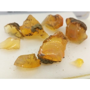 Ópalos Naturales Bi-Color – 17 Quilates