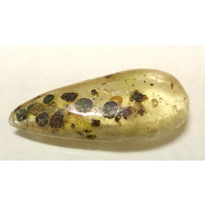 Pieza de Ámbar con Fósiles 21mm x 8mm