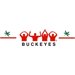 OSU Leaf Decal