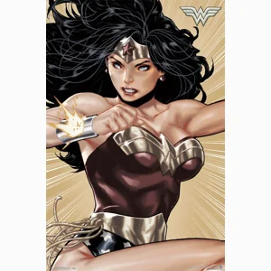 Wonder Woman Hyper Poster 23