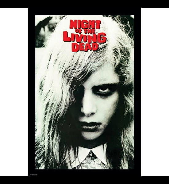Night Of The Living Dead 24" x 36" Poster