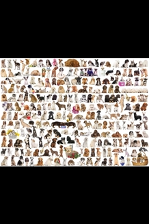 The World Of Dogs 1000 PC Puzzle