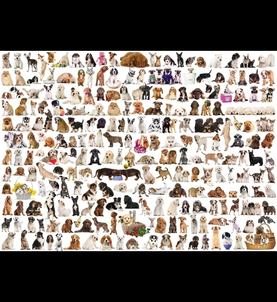The World Of Dogs 1000 PC Puzzle