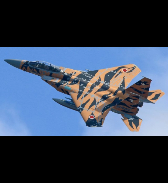Hasegawa F-15DJ Eagle Tiger Scheme Model Kit