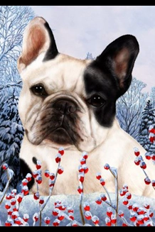 French Bulldog Blk/White Winterberries Garden Flag
