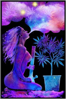 Cannabliss Blacklight 23