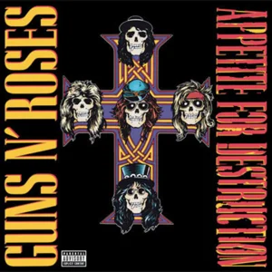 Guns N Roses - Appetite For Destruction Vinyl LP