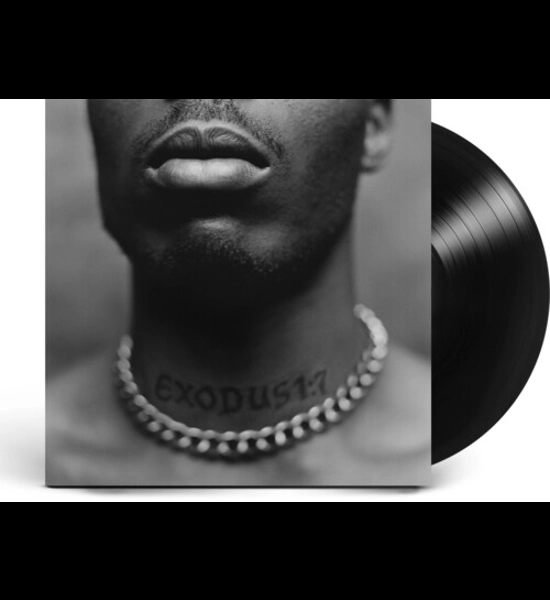 DMX - Exodus Vinyl LP