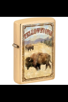 Yellowstone W/Buffalo Brushed Brass Zippo Lighter
