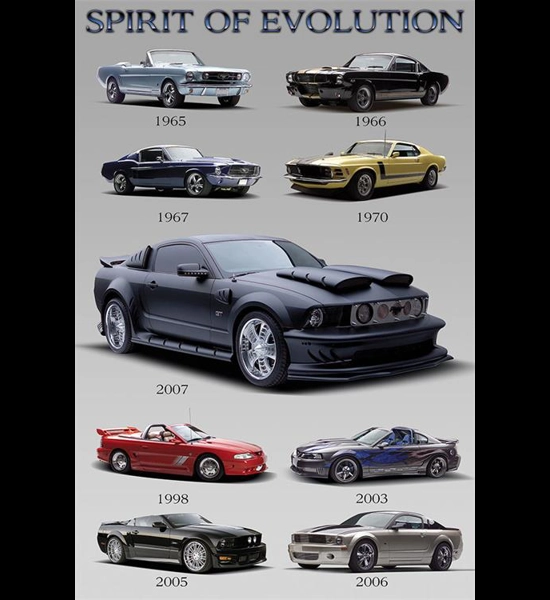 Mustang Evolution Poster 24" x 36"