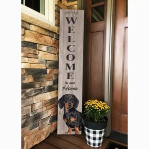 Dachshund 48