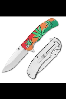 Leaf Spring Assist Knife