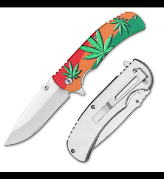 Leaf Spring Assist Knife