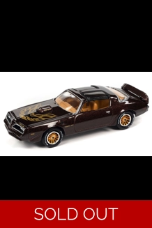 J.L. 1977 Pontiac Firebird T/A