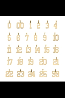 18K Gold PVD Sport Number Pandant