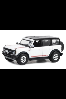 G.L. 2021 Ford Bronco 