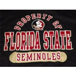 The Victory Florida State The Property Of Football T-Shirt Black 3XL
