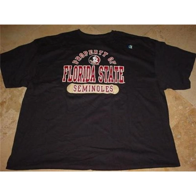 The Victory Florida State The Property Of Football T-Shirt Black 3XL