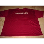 Nike FSU Seminoles Be True Performance Football Tee Maroon 3XL