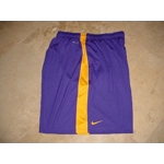 Nike Lightning Speed Fly Training Shorts Purple Gold 4XL