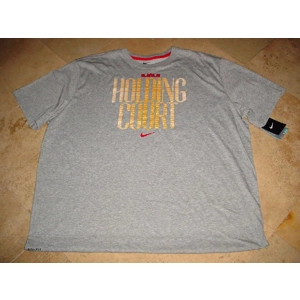 Lebron James Holding Court B..