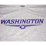 Nike Washington Huskies Engineered Performance Football T-Shirt Gray 3XL