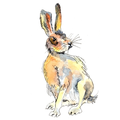 Hare - Pen & Wash Notelet Card Hare - Pen & Wash Notelet Card