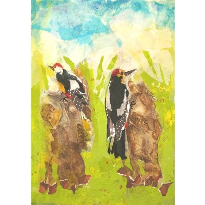 Woodpeckers