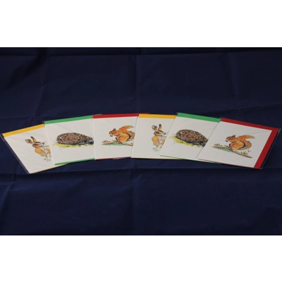 6 Notelet Card Mixed Pack - Pen & Wash Animals 6 Notelet Card Mixed Pack - Pen & Wash Animals