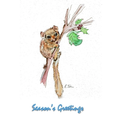 Dormouse with Seasons Greetings - Pen & Wash Notelet Card Dormouse with Seasons Greetings - Pen & Wash Notelet Card