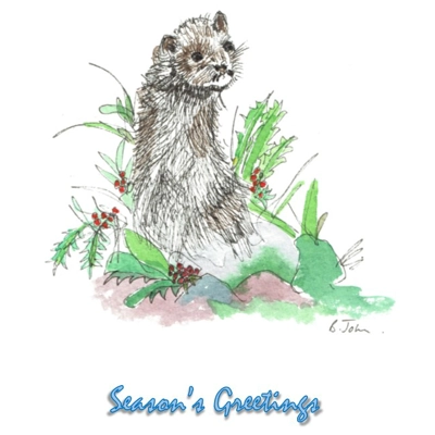Otter with Seasons Greetings - Pen & Wash Notelet Card Otter with Seasons Greetings - Pen & Wash Notelet Card