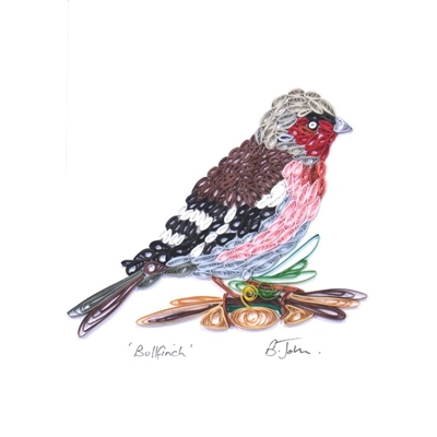Bullfinch Bullfinch