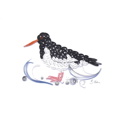 Oystercatcher Oystercatcher