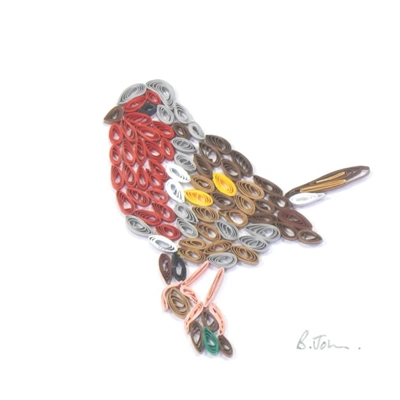 Robin Robin