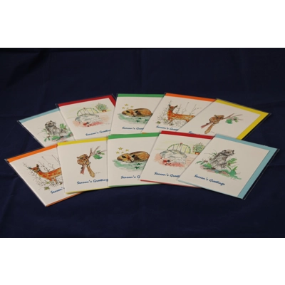 10 Notelet Card Mixed Pack - Seasonally Themed 10 Notelet Card Mixed Pack - Seasonally Themed