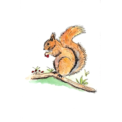 Squirrel - Pen & Wash Notelet Card Squirrel - Pen & Wash Notelet Card