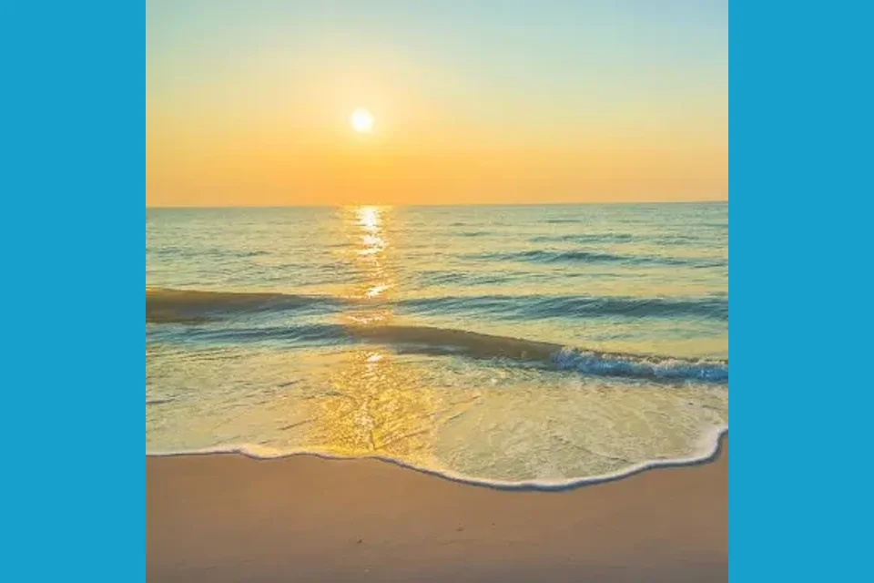 Beach Day