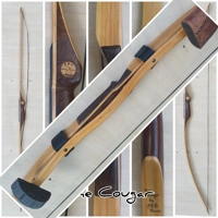 Strap on Quiver
