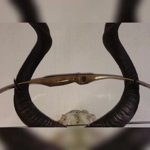 The Ratel Ambidextrous Hybrid Longbow