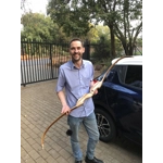 The Rooikat Cub Take-down Recurve Bow