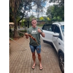 The Tasmanian Devil Take-down Recurve Bow