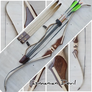 Limb bolt arrow quiver