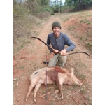 The Tasmanian Devil Take-down Recurve Bow