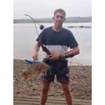 The Tasmanian Devil Take-down Recurve Bow