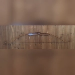 The "Rooikat" - Caracal take-down Recurve bow