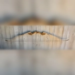 The Wolverine Cub Take-down Recurve Bow