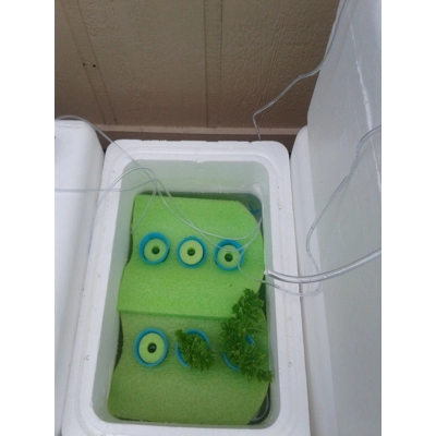 Medium Grow Kit title=