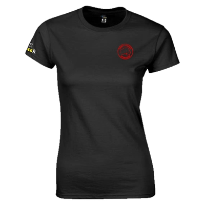 Chuck Norris Approved Pure Geek Ladies tee