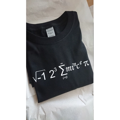 Pure Geek Maths I ate all the mince pies tee